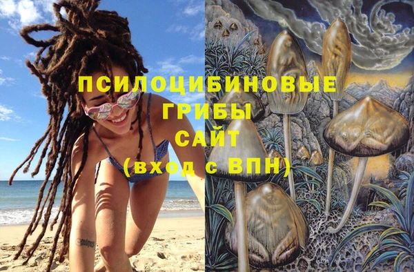герыч Бронницы