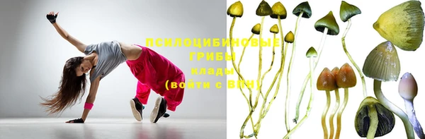 крисы Краснотурьинск